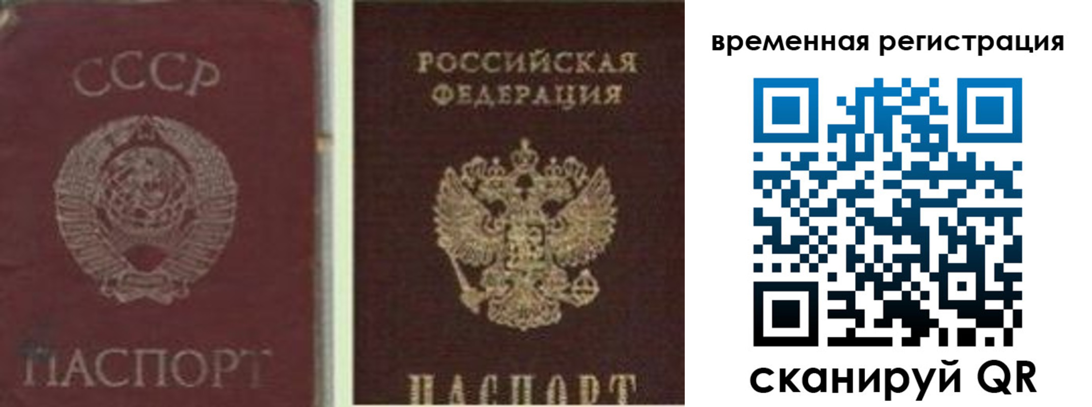 найти адрес прописки в Мирном
